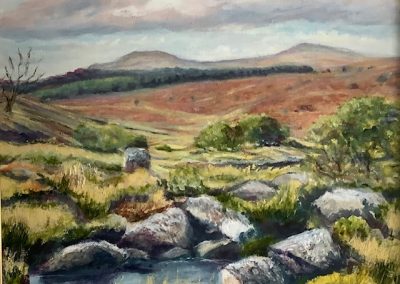 dartmoor landscape, Maggie Nicholls