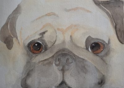 dog art, Gilli Swift, pet portrait